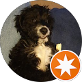 Guy Applebee Avatar