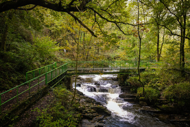 DJI 0059 2 768x512