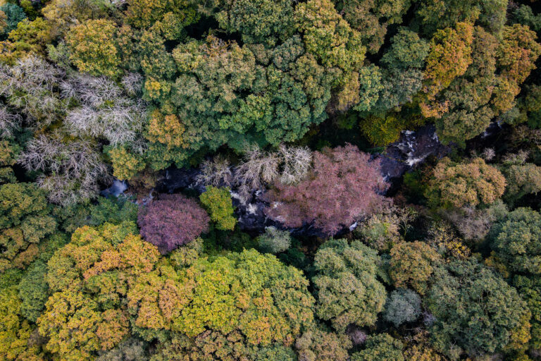 DJI 0147 768x512