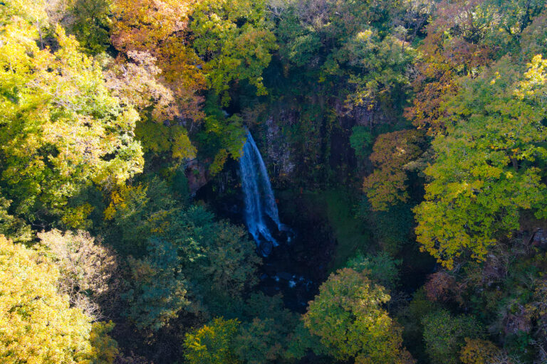 Melincourt Falls Melincourt Falls
