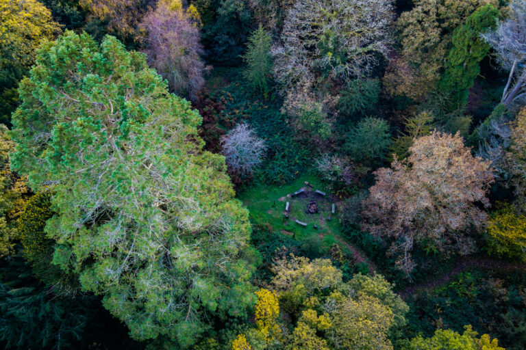 DJI 0480 768x512