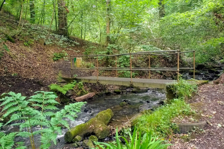 IMG 20170615 151648551 768x512