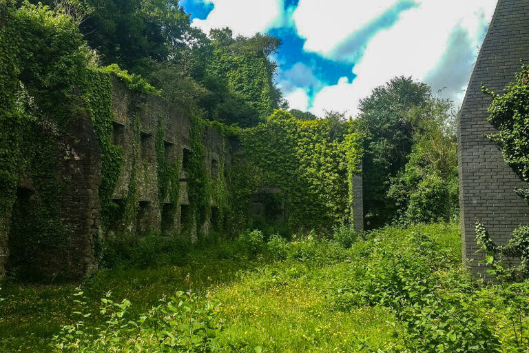IMG 20170615 160448821 768x512