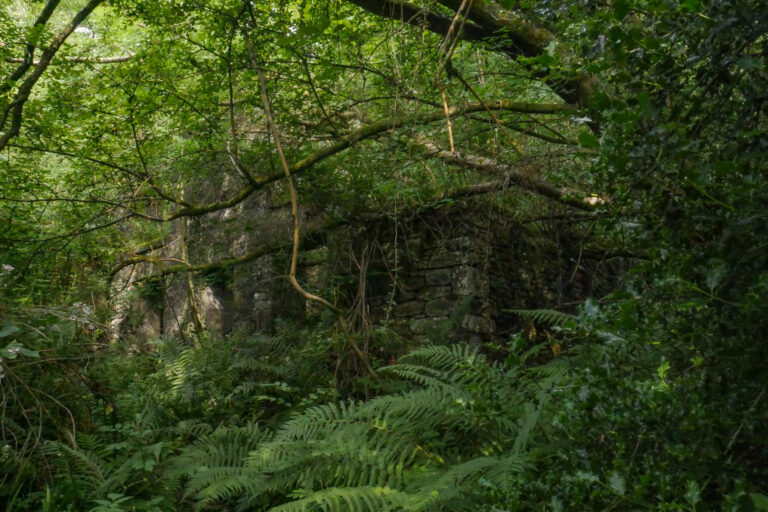 P1150317 768x512