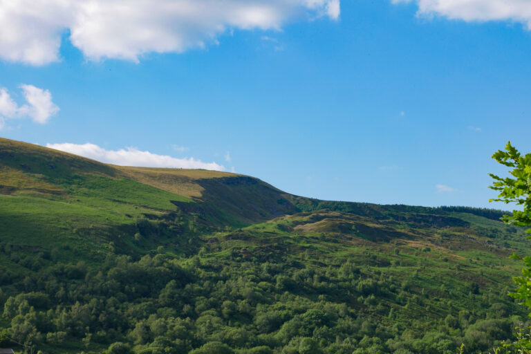 P1150332 768x512
