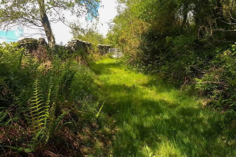 IMG 20170514 153819991 768x512