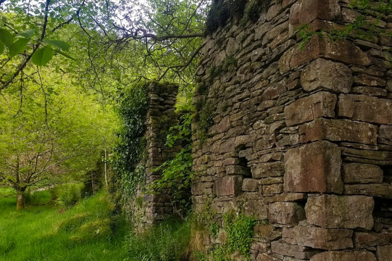 IMG 20170514 163113495 768x512