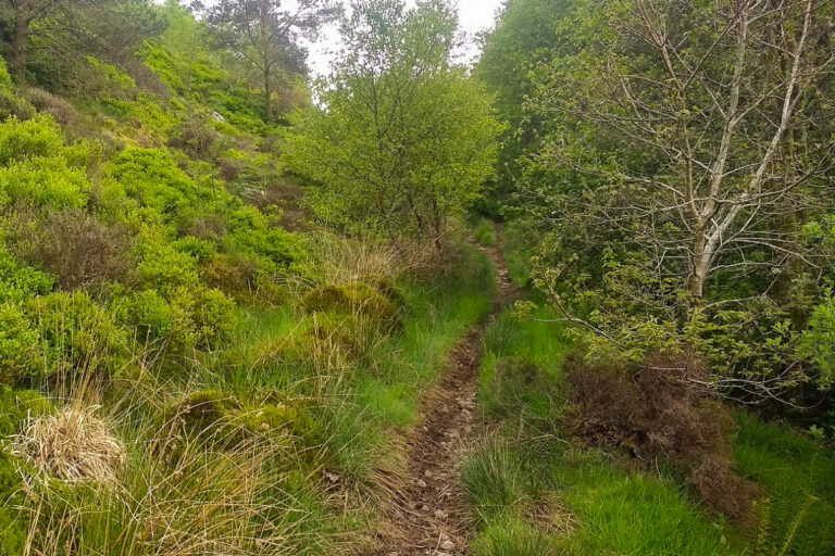 IMG 20170514 163210014 768x512