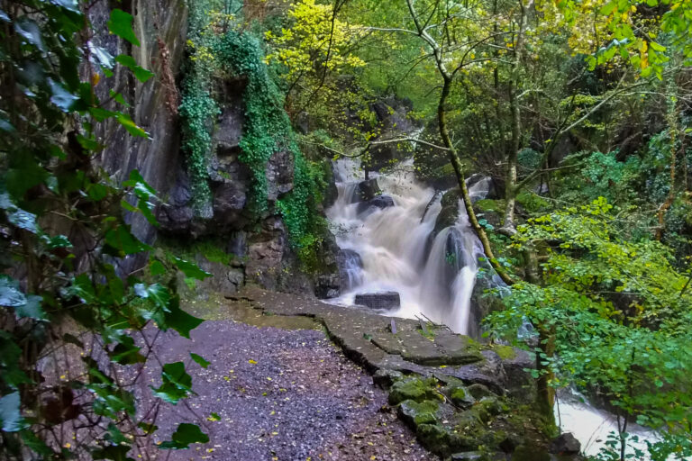 DJI 0107 768x512