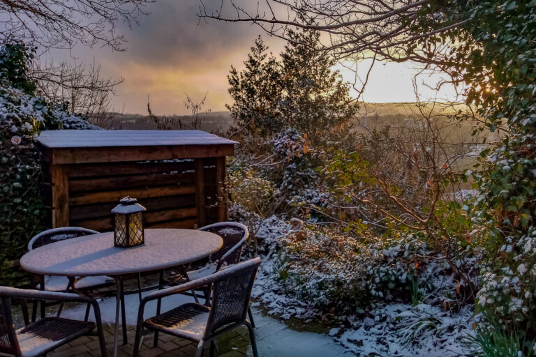 IMG 20190201 084109815 HDR 768x512