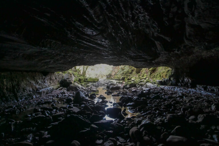 P2740829 768x512