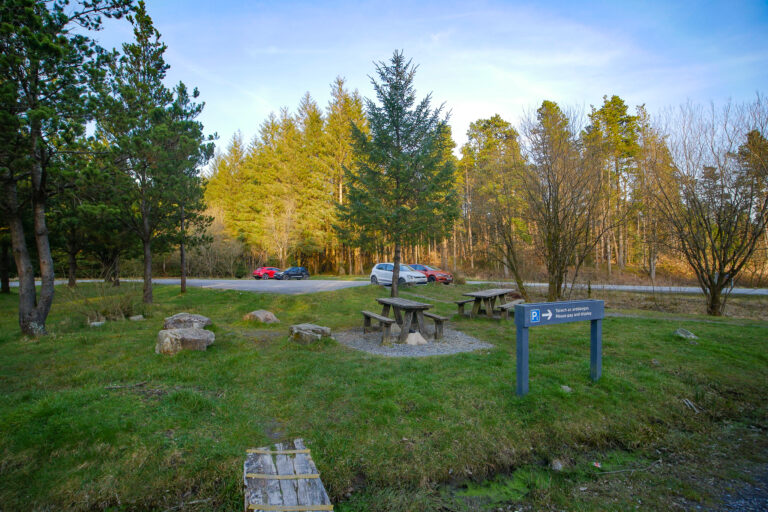 P2740836 768x512
