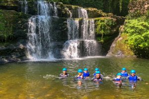 Beezra Activities