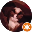 L K Avatar