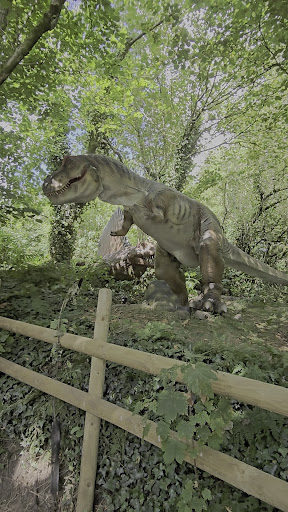 media thumbnail 2