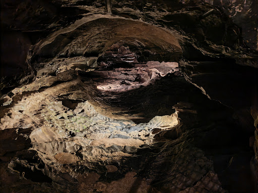 media thumbnail 5